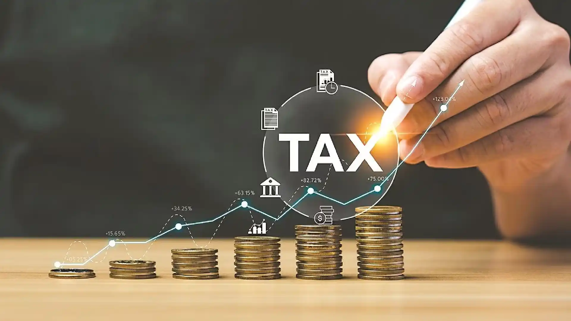 Corporate Tax Audit Support